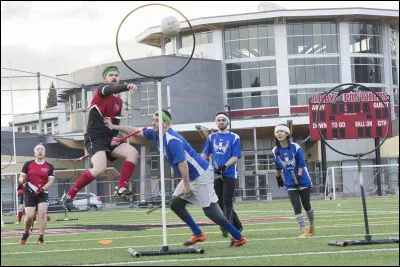 Combien de joueurs y a-t-il dans une équipe de quidditch ?