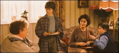 Pourquoi Albus Dumbledore envoie-t-il Harry chez les Dursley ?