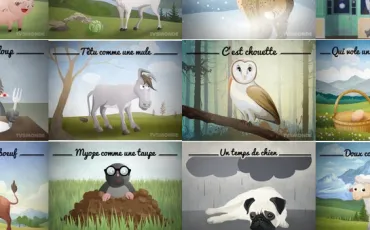 Quiz Animaux