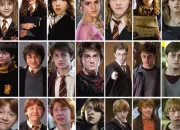 Test Qui es-tu dans  Harry Potter  entre Harry et Ron ?