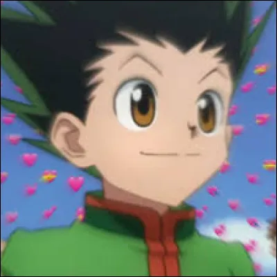 Quel est le nom de famille de Gon ?