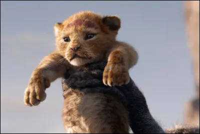 Dans quel film de Disney apercevons-nous un dizaine de lions ?