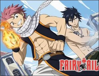 En quelle année le premier épisode de Fairy Tail est-il sorti ?