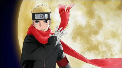 Quel est le nom de famille de Naruto ?