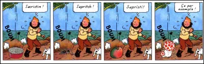 L'avait-il senti venir ? En tout cas, il a bien faillit se le/la prendre dans le pif, le Tintin ! Il s'agissait de quoi, au juste ?