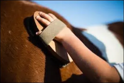 Je dois brosser et m'occuper de mon cheval...