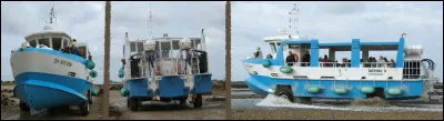 Cette île de Normandie, accessible à pied lors de certaines marées basses ou par bateau amphibie (en photo), doit son nom aux Vikings. 
Classée zone Natura 2000, elle n'est pas habitée de manière permanente mais accueille des visiteurs, 500 par jour au maximum. 
Quelle est cette île de la Manche ?