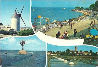 Vendée, passage du Gois, marais salants, pommes de terre ! Ces indices vous guident pour rejoindre ''l'île aux mimosas'' qui est...