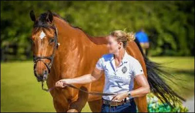 Pour mener votre cheval à la longe, la distance entre la bouche et la main du cavalier doit être de :