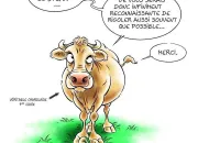 Quiz Ah la vache