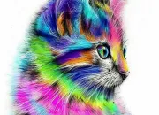 Test Si tu tais un chaton de quelle couleur serais-tu ?