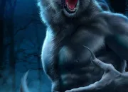 Test Quel est ton rle dans le jeu 'Loup-garou de Thiercelieux' ?