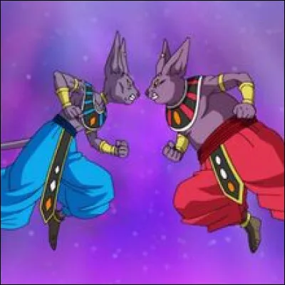 Quelle est la meilleure transformation de Goku lors du tournoi de Beerus ?