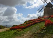 Quiz Apportez de l'eau  mon moulin