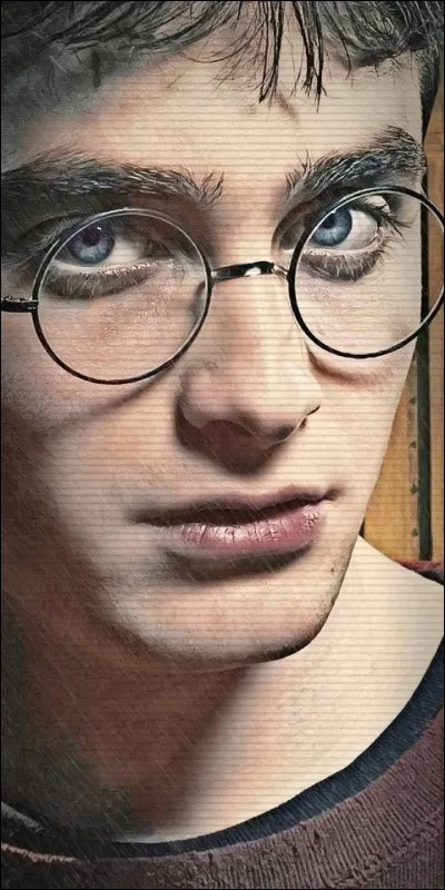 Qui joue Harry Potter ?