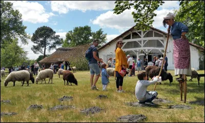 "Bongjoure !" (avec l'accent) Dès cette image, vous pouvez savoir dans quelle région nous sommes...