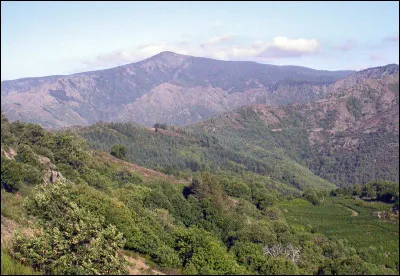 Bienvenue dans un périple qui vous fera (re)découvrir toutes les plus belles montagnes de France ! Commençons dès maintenant avec le mont Aigoual, dans le Massif central. Lors de quelle grande guerre celui-ci a vu naître en lui un bastion de résistants ?