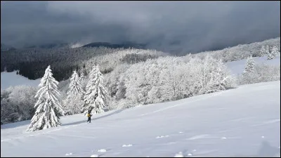 Quel est le nom de la forêt dans le territoire du comte Mathers ?