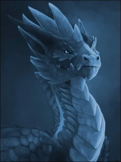 De quelle race est ce dragon ?