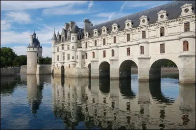 Long de 1006 km, ce fleuve prend sa source dans l'Ardèche à Gerbier de Jonc et se déverse dans l'Océan Atlantique à Saint-Nazaire. De quel fleuve s'agit-il ?