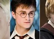 Test Quelle est ta famille dans  Harry Potter  ?