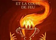 Quiz Harry Potter et la Coupe de feu (chapitres 1  3)