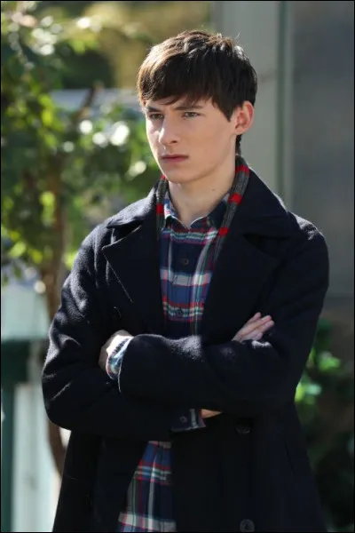 Quel est le nom de l'acteur qui joue Henry Mills ?