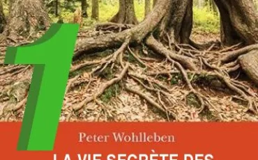 Quiz Ecologie