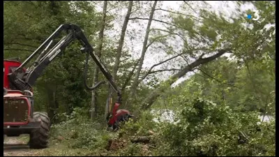 En général, à quel âge abat-on les arbres, en exploitation forestière soit-disant "raisonnée" ?