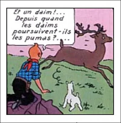 Tintin en Amérique > Finalement, Tintin est-il digne d'un don ou dingue d'un daim ?