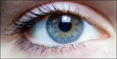 Comment dit-on "oeil" en anglais ?