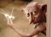 Quiz Connais-tu bien Dobby ?