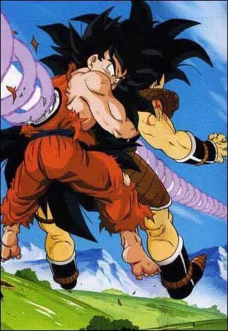 Qui a tu Sangoku et Raditz?