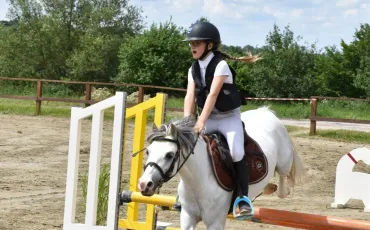 Quiz Equitation