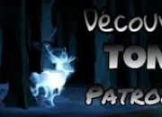 Test Dcouvre ton patronus !