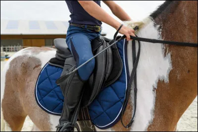 À quoi sert une selle ?