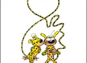 Quiz Marsupilaquiz