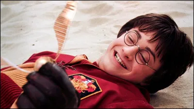 Combien y a-t-il de balles au quidditch (en tout) ?