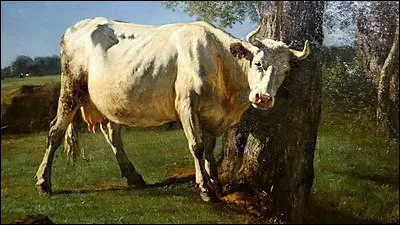 Qui a peint "Une vache qui se gratte" ?