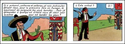 "Les 7 boules de cristal" > Un petit détail vient nous interpeller, entre ces deux cases : lequel ?