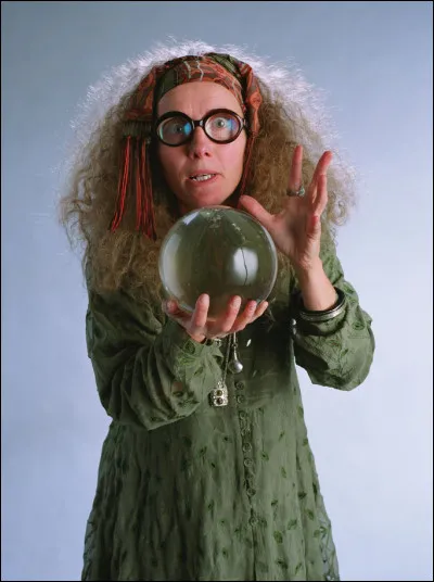 Dans quelle maison était Sibylle Trelawney ?