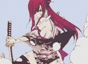 Quiz Fairy Tail : Erza et Gajil