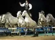 Quiz Des chevaux et des hommes