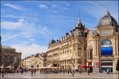 Grande ville du sud de la France, située dans la plaine du Languedoc :