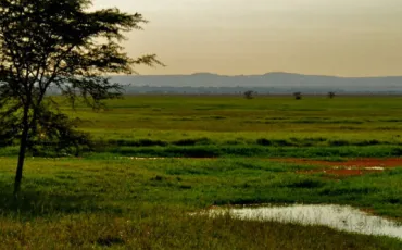 Quiz Afrique