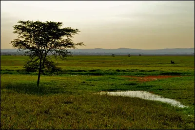 Dans quel pays se trouve le parc national de Gorongosa ?