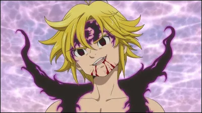 Qui est Meliodas ?