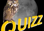 Quiz Jouons avec Quizzou le hibou !