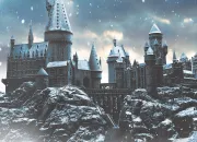 Test Test de personnalit Harry Potter