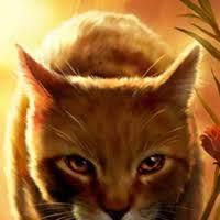 Quiz Erin hunter